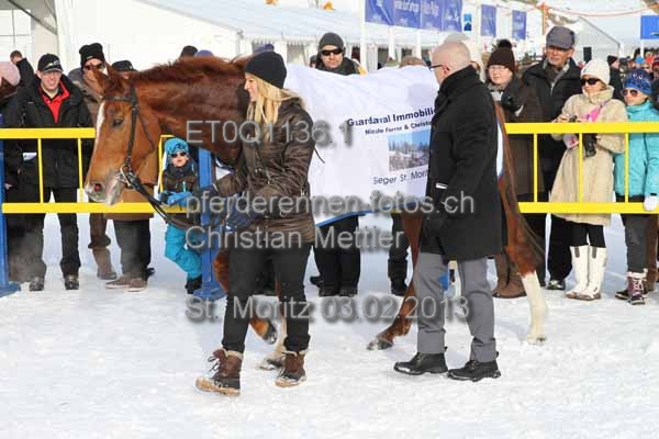ET0Q1136.1 prot